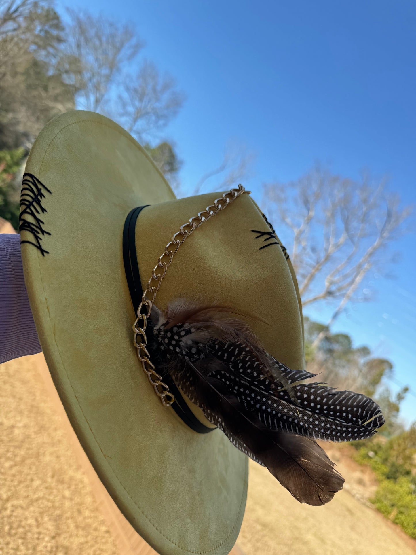 Dazzle Stitch Fedora ✨