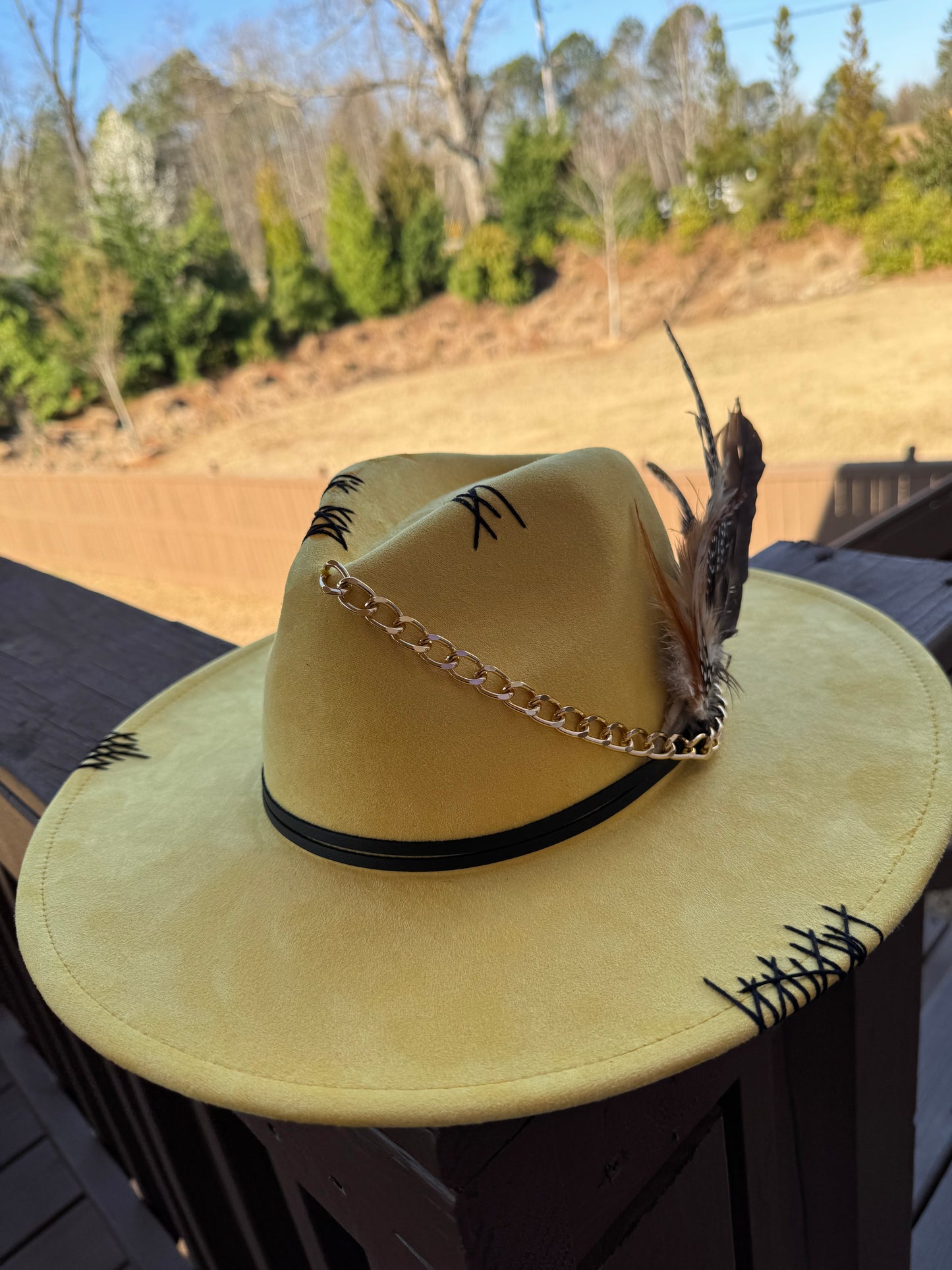 Dazzle Stitch Fedora ✨